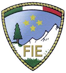 Logo FIE